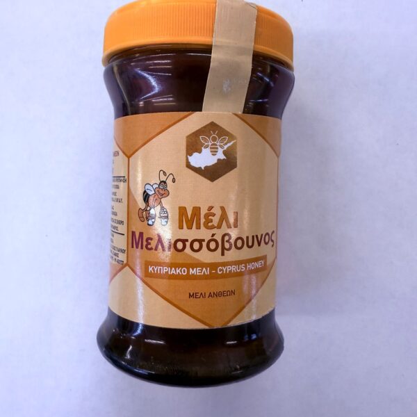 Mel issovounos Cyprus Honey (330gr)